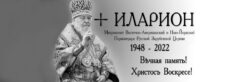 Панихиды по новопреставленному предстоятелю Русской Зарубежной Церкви митрополиту Илариону