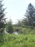 June_2011_14