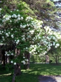 June_2011_56
