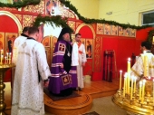 Christmas2012_27