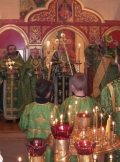 Verbnoe-Voskresenie_13-04-2014_33