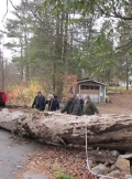 subbotnik_11