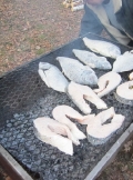 subbotnik_19