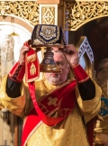 30_let_mitr_hilarion_11152014_67