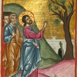 Проклятие бесплодной смоковницы