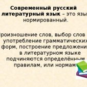 Русский литературный язык Русский литературный язык