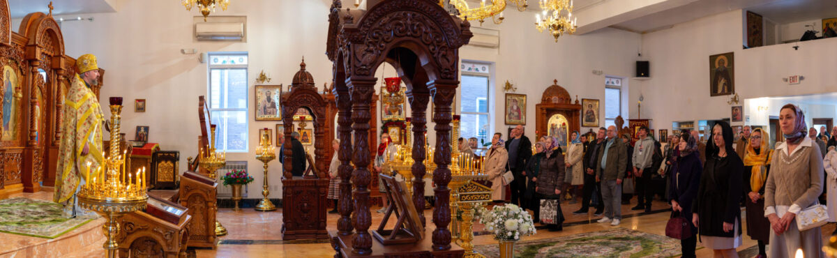 Неделя 23-я по Пятидесятнице. Фото 11/16/2025